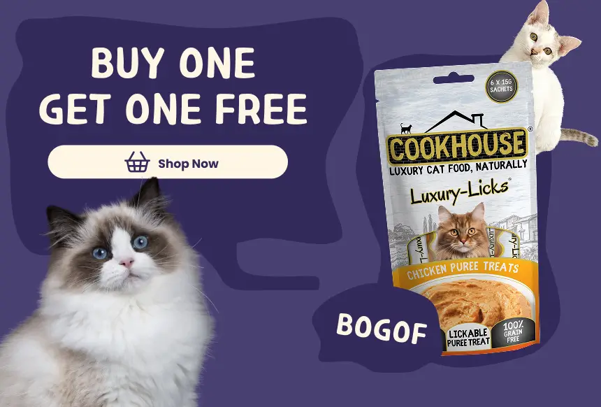 cat-offer-header-mobile1